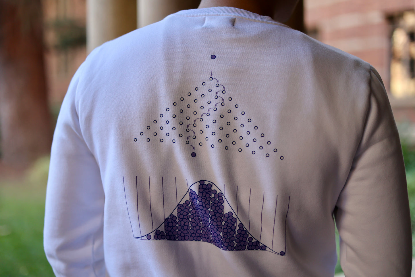 Normal Distribution and the Galton Board Sweatshirt | Geek Gift | Nerd Gift | Math Clothing | STEM Apparel